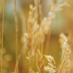 Cuadros de temas del Mediterráneo. Exposición permanente