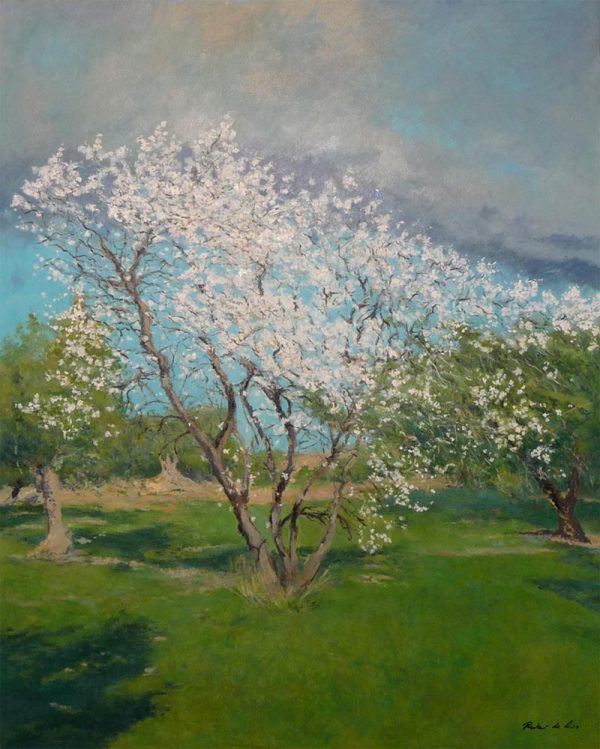 Cuadro al oleo de un almendro en flor pintado por Rubén de Luis
