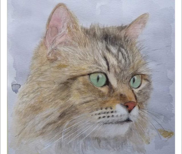 Retrato en acuarela de un gato pintado por Rubén de Luis por encargo