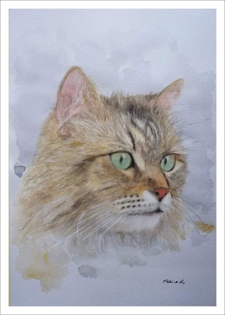 Retrato en acuarela de un gato pintado por Rubén de Luis por encargo