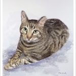 Retrato de un gato en acuarela