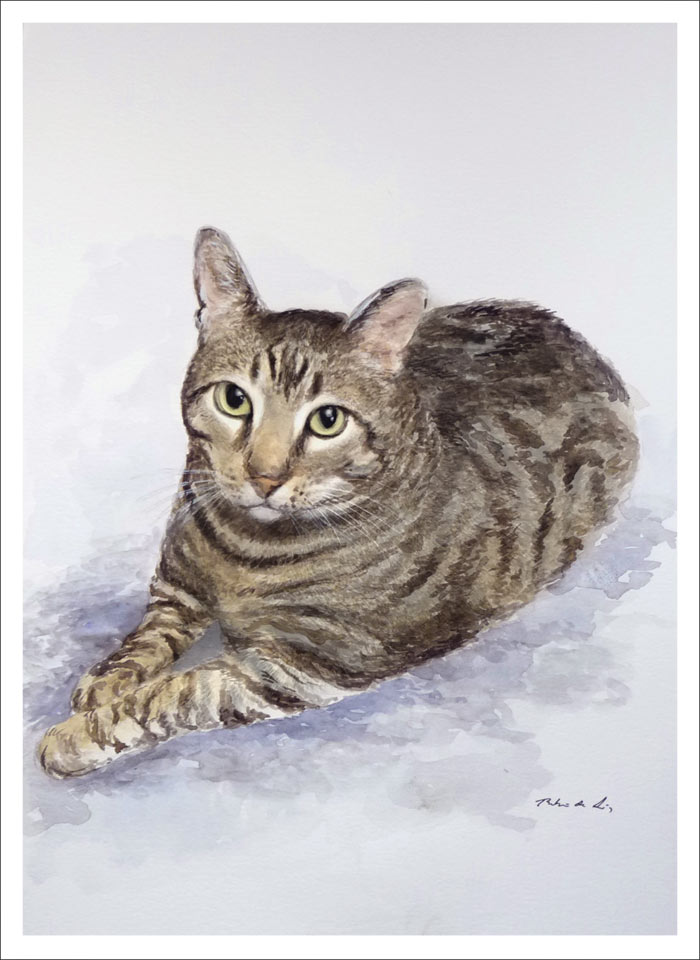 Acuarela de un gato realizada por encargo Retrato de un gato en acuarela