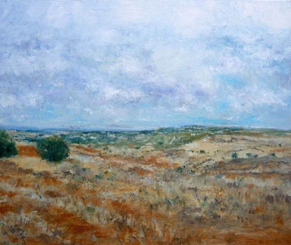 Paisaje de Castilla y León.