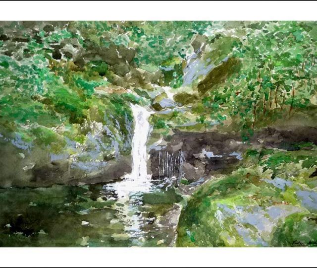 Acuarela de las Fragas do Eume