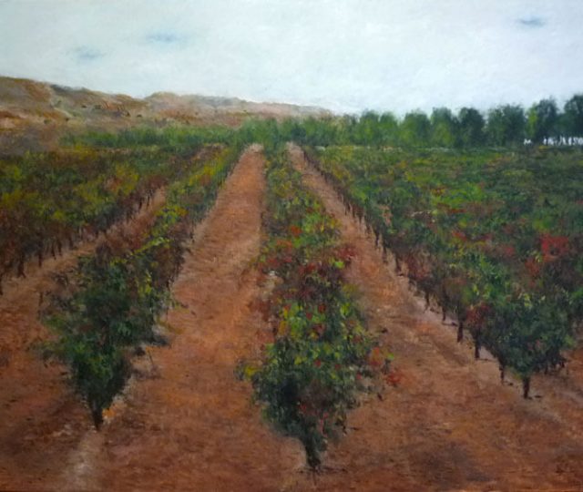 Paisaje de un viñedo en Azagra, Navarra