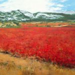 Paisaje de la Rioja Alta