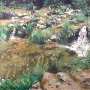 Cuadro al oleo de unas pozas de agua en el puerto de la Morcuera en Madrid del pintor Rubén de Luis