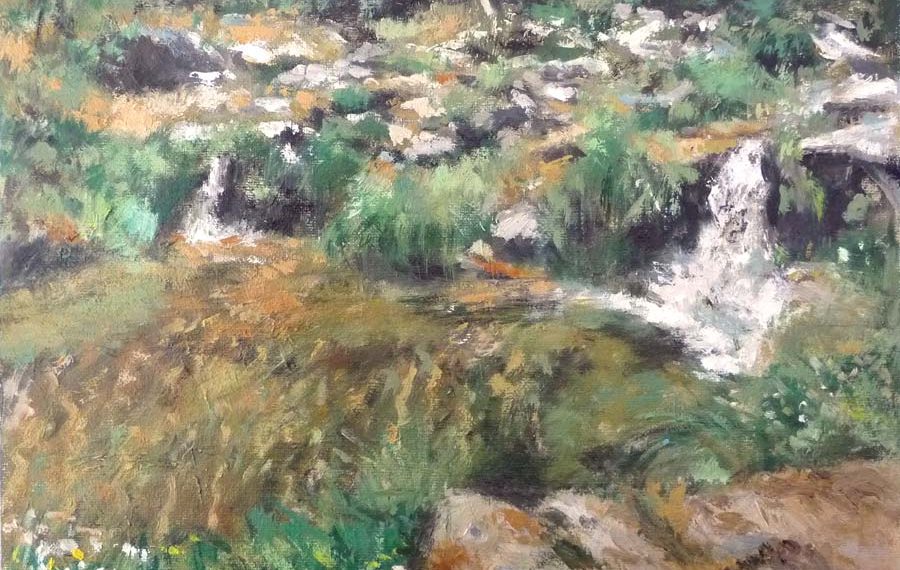 Cuadro al oleo de unas pozas de agua en el puerto de la Morcuera en Madrid del pintor Rubén de Luis