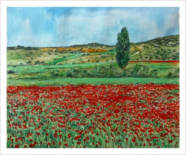 Acuarela de un paisaje de amapolas realizado por Rubén de Luis