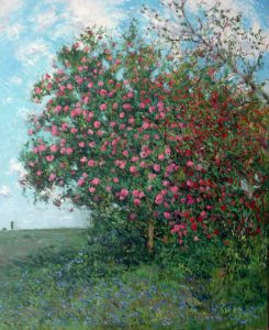 Las Camelias, cuadro al oleo