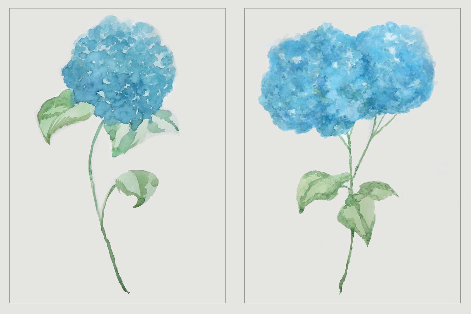 Pareja de acuarelas de hortensias en azul