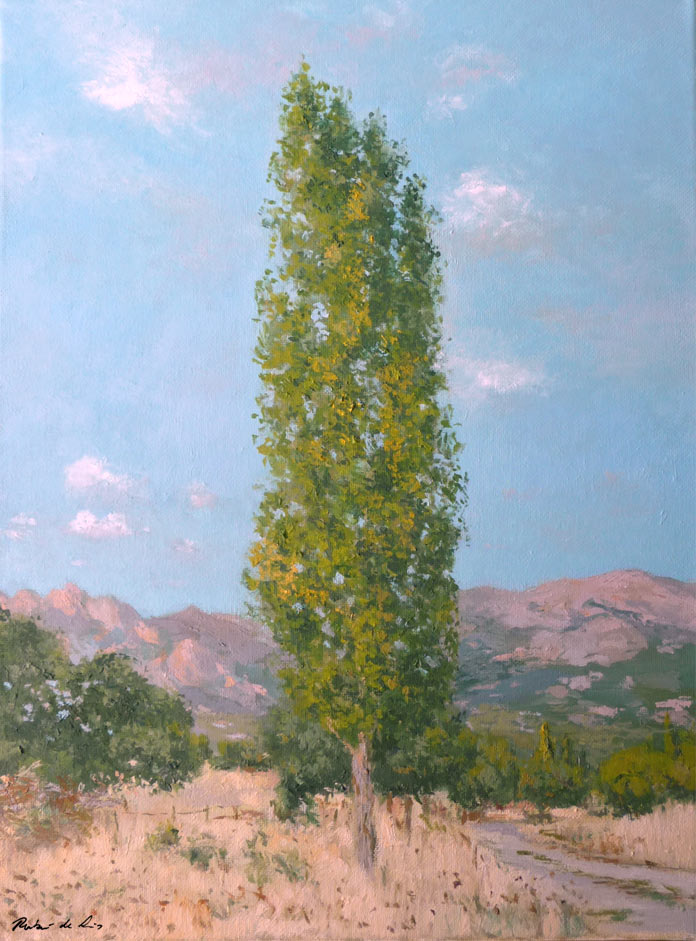 Un cuadro al oleo de un paisaje de La Pedriza en Manzanares el Real del pintor Rubén de Luis