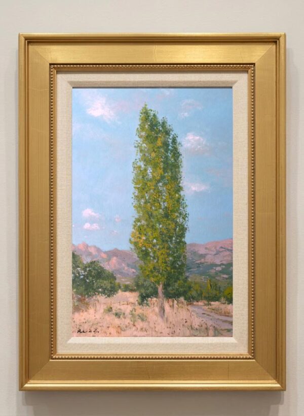 Un cuadro al oleo de un paisaje de la Pedriza de Manzanares en Madrid realizado por Rubén de Luis
