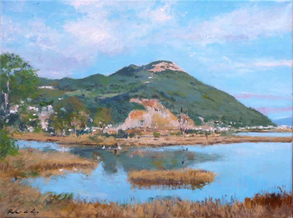 Cuadro de las marismas de Santoña pintado al oleo por Rubén de Luis