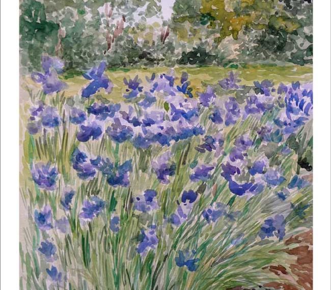 Acuarela de unos lirios pintada por Rubén de Luis