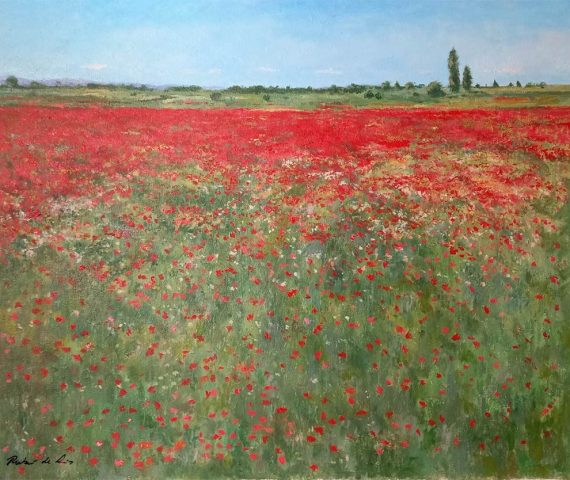 Cuadro al oleo de un paisaje de amapolas del pintor Rubén de Luis
