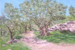Cuadro al oleo de un olivo en Mallorca pintado por Rubén de Luis.