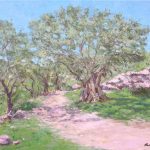 El olivo, Mallorca