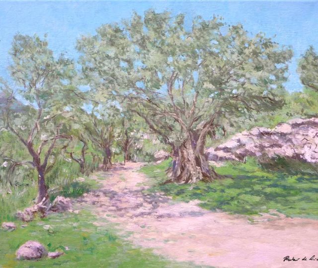 Cuadro al oleo de un olivo en Mallorca pintado por Rubén de Luis.