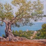 El olivo, Mallorca