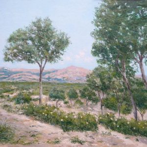 Cuadro de un paisaje de la Pedriza en Madrid