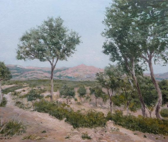 Cuadro al oleo de un paisaje de la Pedriza en Madrid. 65x50 cms. Oleo sobre lienzo.