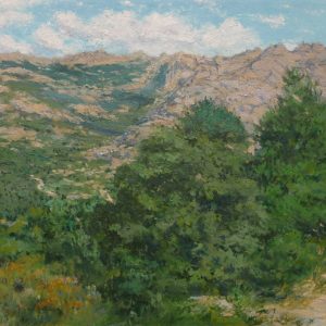 Cuadro al oleo de un paisaje de la Pedriza en Madrid realizado por Rubén de Luis