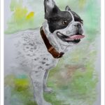 Acuarela de un bulldog francés