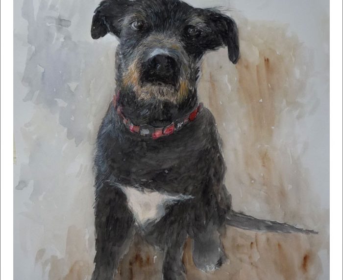 Retrato en acuarela de un perrito realizado por encargo a partir de una foto