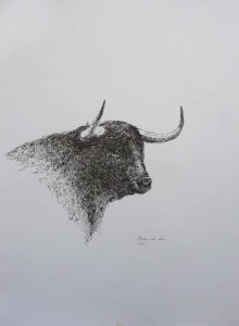 Dibujo de un toro de lidia