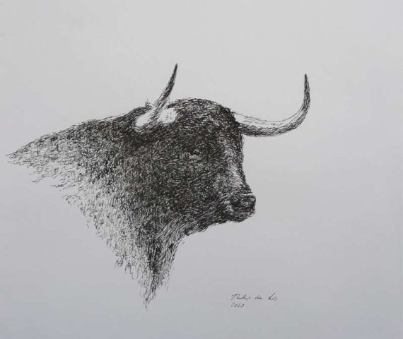 Dibujo de un busto de un toro de lidia