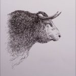 Dibujo de un toro de lidia