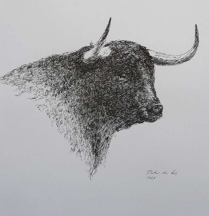 Dibujo de una cabeza de un toro