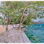 Paseo de los Pinos, Pollensa, Mallorca